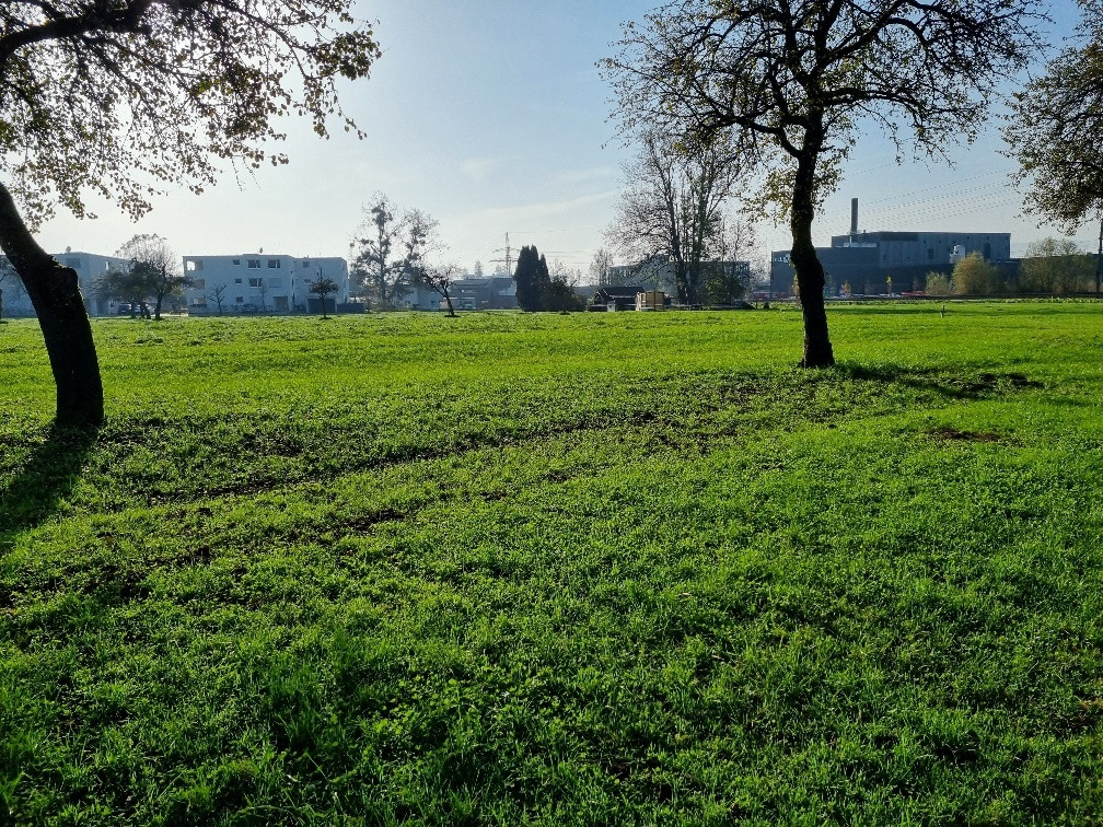  قطعة أرض في Dornbirn, Austria رقم 17593