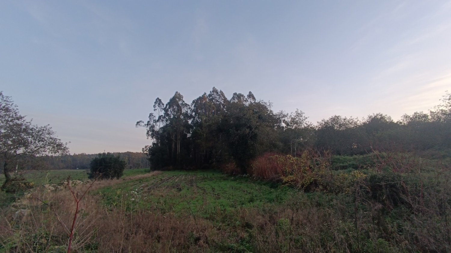 Grundstück in Vila do Conde, Portugal, Nr. 54912