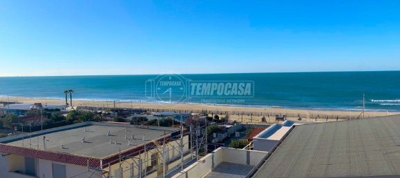 Studio in Fiumicino, Italy, Nr. 70221 2