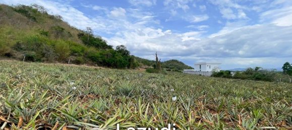 Gewerbliche Immobilie in Pran Buri, Thailand, Nr. 16946 7