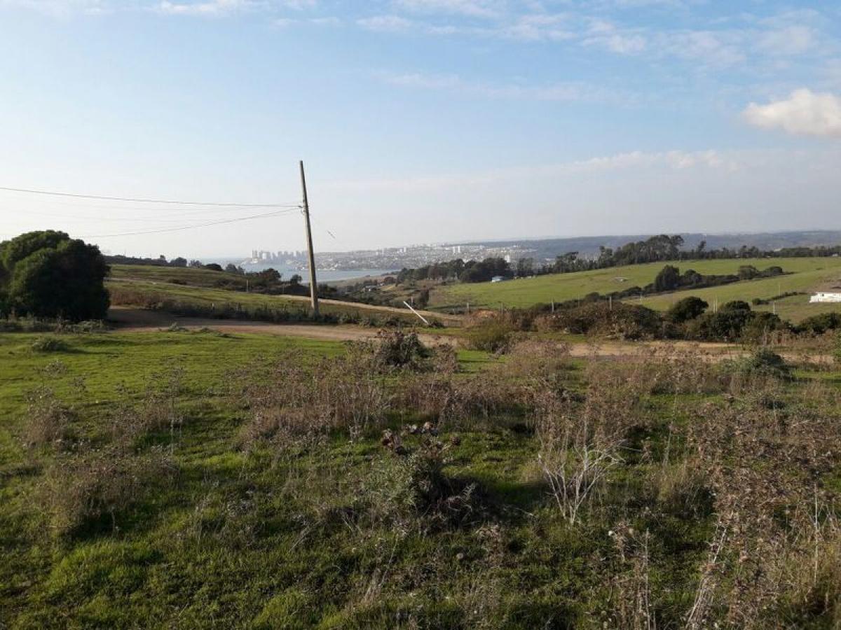  قطعة أرض في Valparaiso, Chile رقم 1251