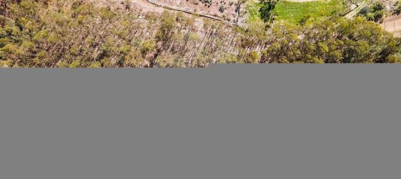 Terrain à Barcelos, Portugal 18700m² No. 10154 16