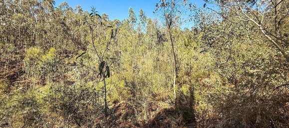 Terrain à Barcelos, Portugal 18700m² No. 10154 12