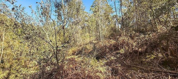 Terrain à Barcelos, Portugal 18700m² No. 10154 11