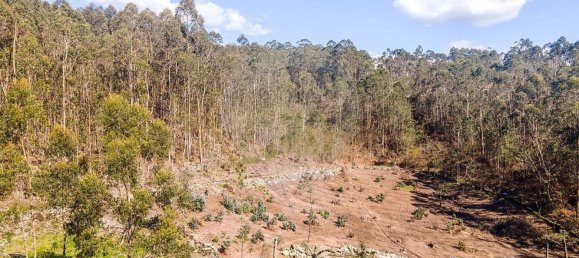 Terrain à Barcelos, Portugal 18700m² No. 10154 3