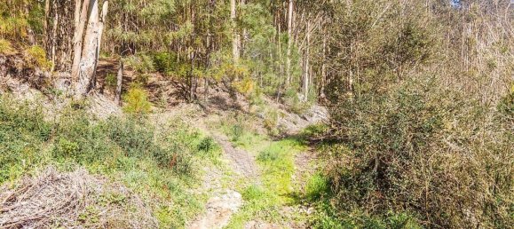 Terrain à Barcelos, Portugal 18700m² No. 10154 6