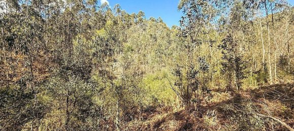 Terrain à Barcelos, Portugal 18700m² No. 10154 10