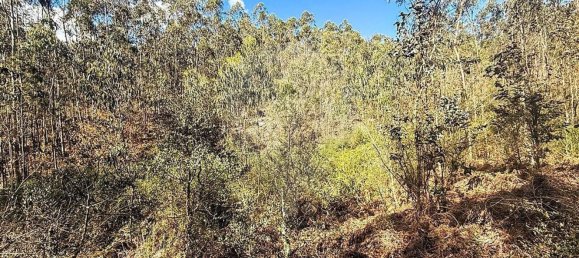 Terrain à Barcelos, Portugal 18700m² No. 10154 5