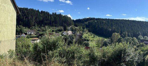 Земельный участок в Freudenstadt, Германия № 50372 2