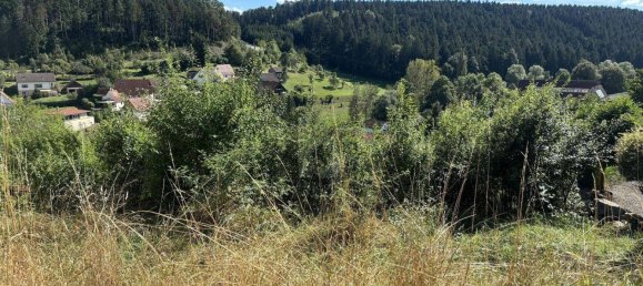 Земельный участок в Freudenstadt, Германия № 50372 4