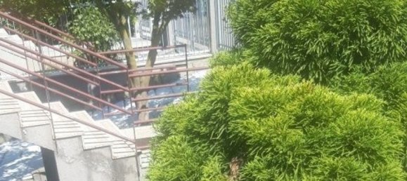 5 rooms Villa in San Donato Milanese, Italy No. 110228 4