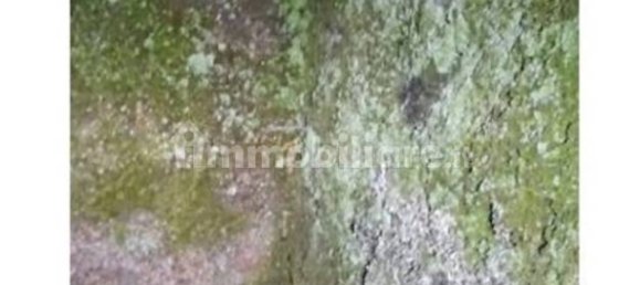 Terrain à Pantelleria, Italy 22100m² No. 122206 6