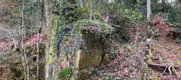 Casa T3 em Caminha, Portugal N.º 87646 2