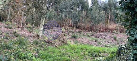 Casa T3 em Caminha, Portugal N.º 87646 5