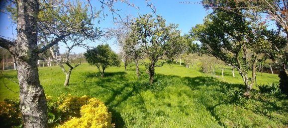 4 غرف نوم منزل في Mansores, Portugal رقم 176880 29