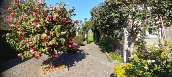 4 غرف نوم منزل في Mansores, Portugal رقم 176880 10