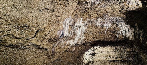 20-Zimmer Hotel in Franking, Austria, Nr. 225399 14