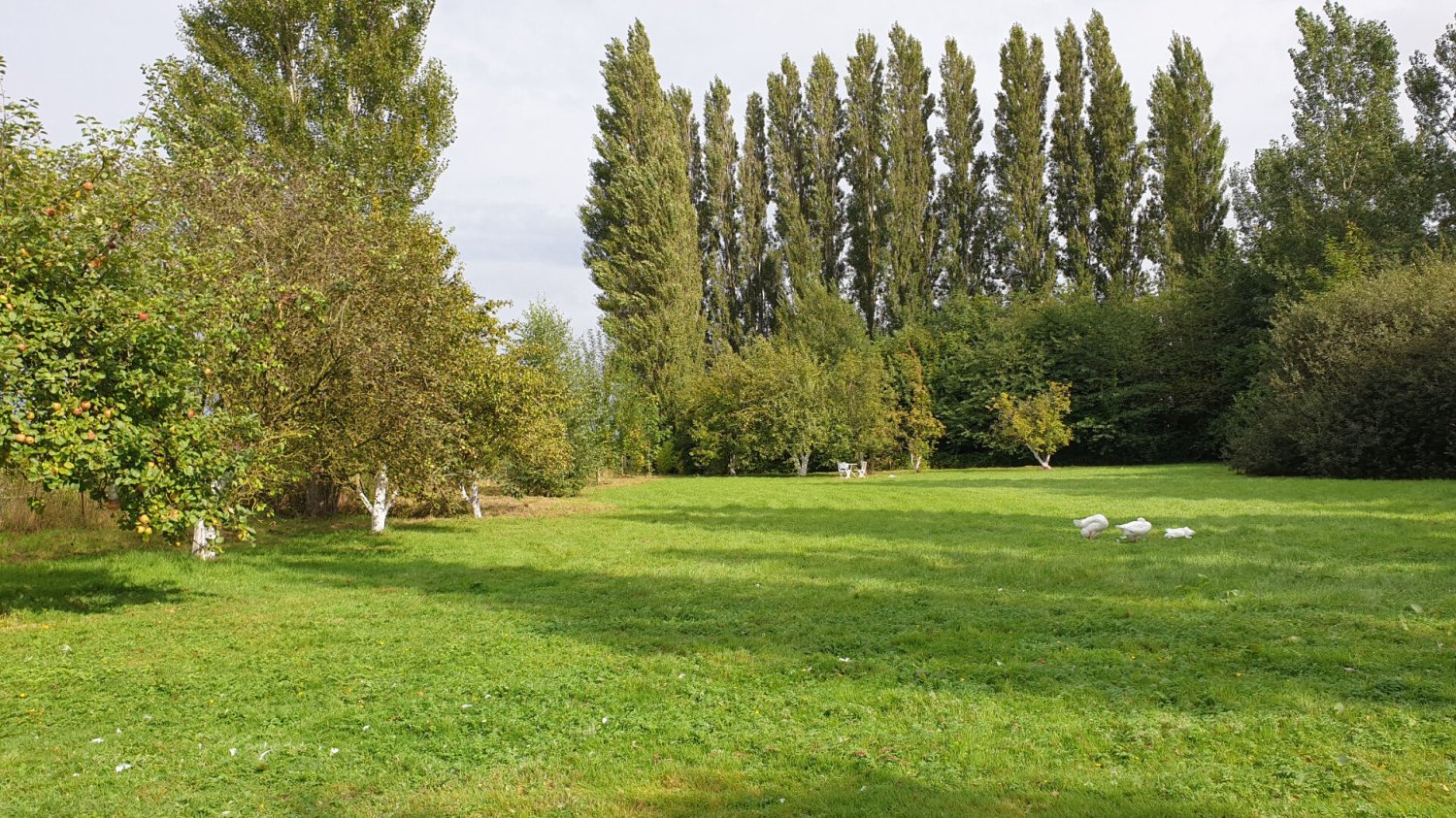 4 bedrooms House in Ardres, France No. 53997