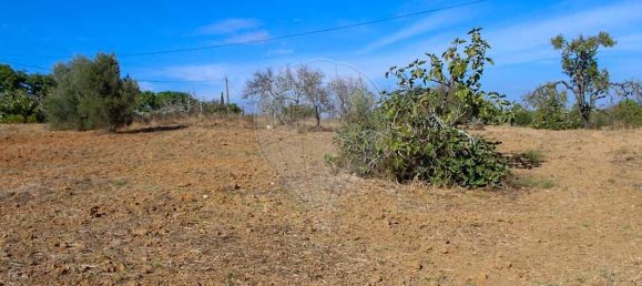 3 bedrooms House in Lagoa, Portugal No. 25593 21