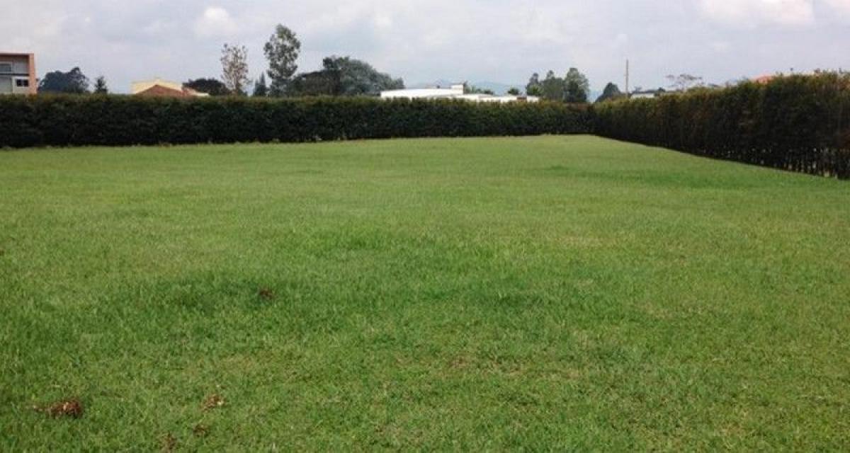  Land in General Rodriguez, Argentina No. 113678