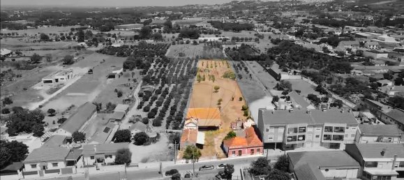 6 bedrooms House in Palmela, Portugal No. 29312 3