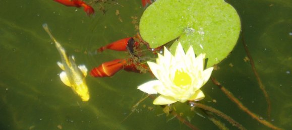 Casa T6 em Salamanca, Spain N.º 154135 29