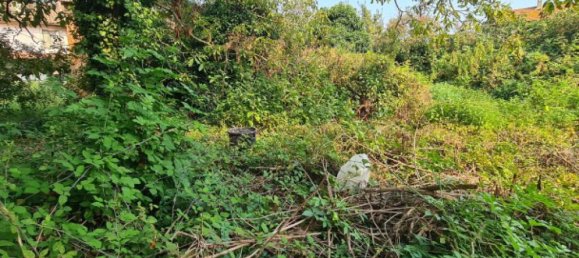 3 bedrooms House in Gambarana, Italy No. 104862 14