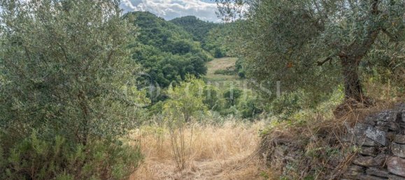 7 bedrooms House in Montone, Italy No. 353634 21