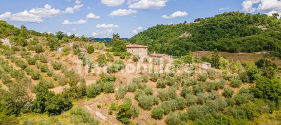 7 bedrooms House in Montone, Italy No. 353634 20