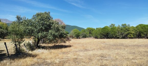 18000m² Land in Piedralaves, Spain No. 100079 7