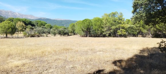 18000m² Land in Piedralaves, Spain No. 100079 3