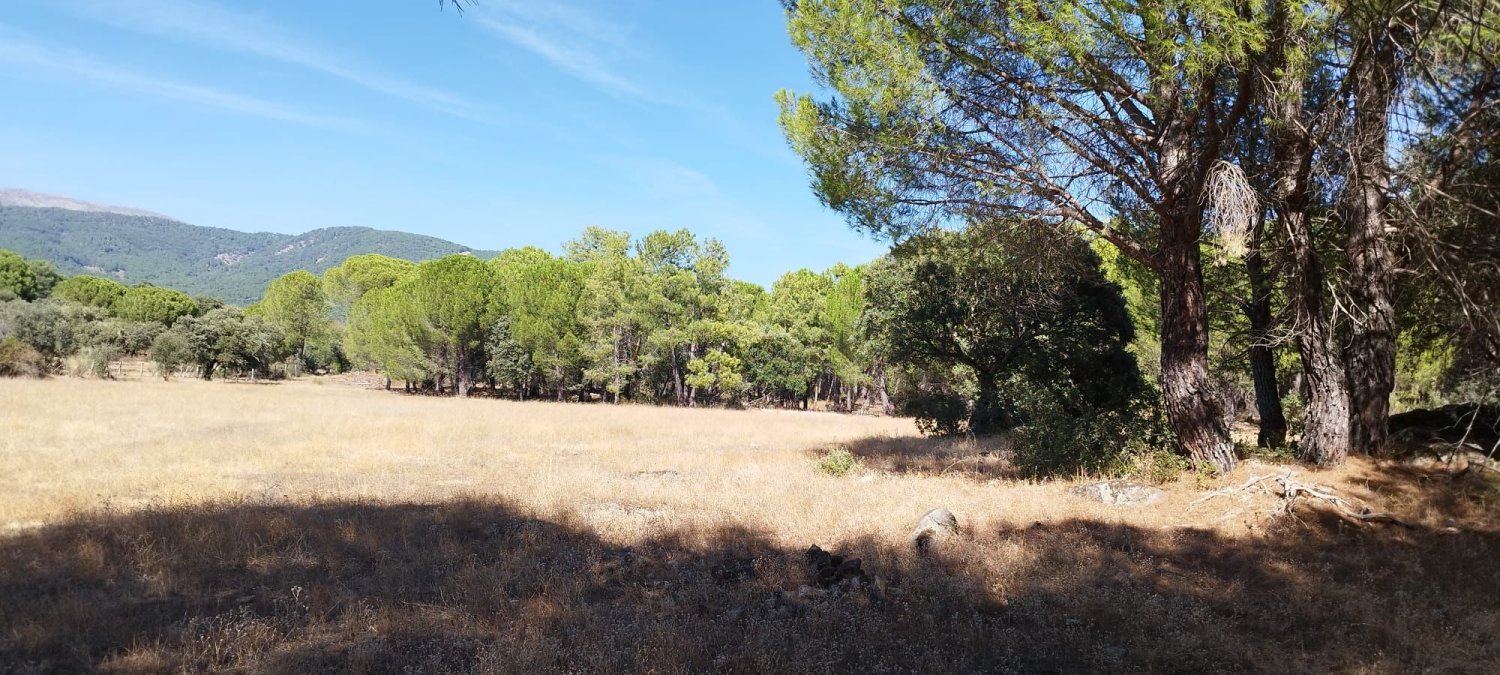 18000m² Land in Piedralaves, Spain No. 100079