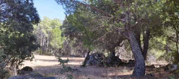 18000m² Land in Piedralaves, Spain No. 100079 9
