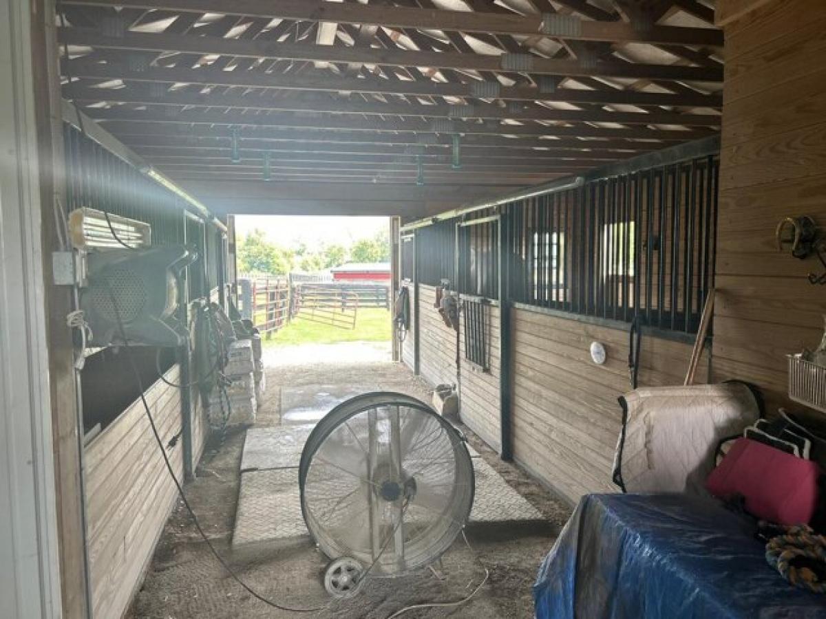  Land in Stamping Ground, USA No. 517338