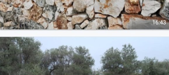 Grundstück in Grumo Appula, Italy 35000m², Nr. 254471 3