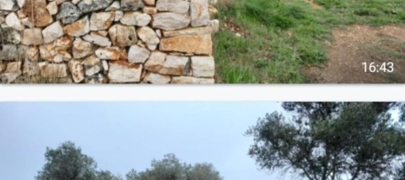 Grundstück in Grumo Appula, Italy 35000m², Nr. 254471 4