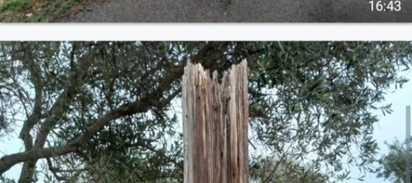 Grundstück in Grumo Appula, Italy 35000m², Nr. 254471 2