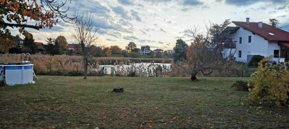 Grundstück in Hennersdorf, Austria, Nr. 248615 3