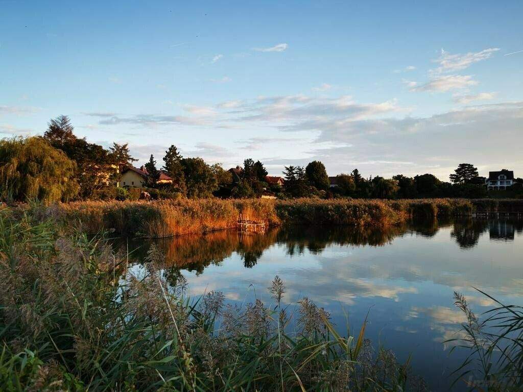 Grundstück in Hennersdorf, Austria, Nr. 248615