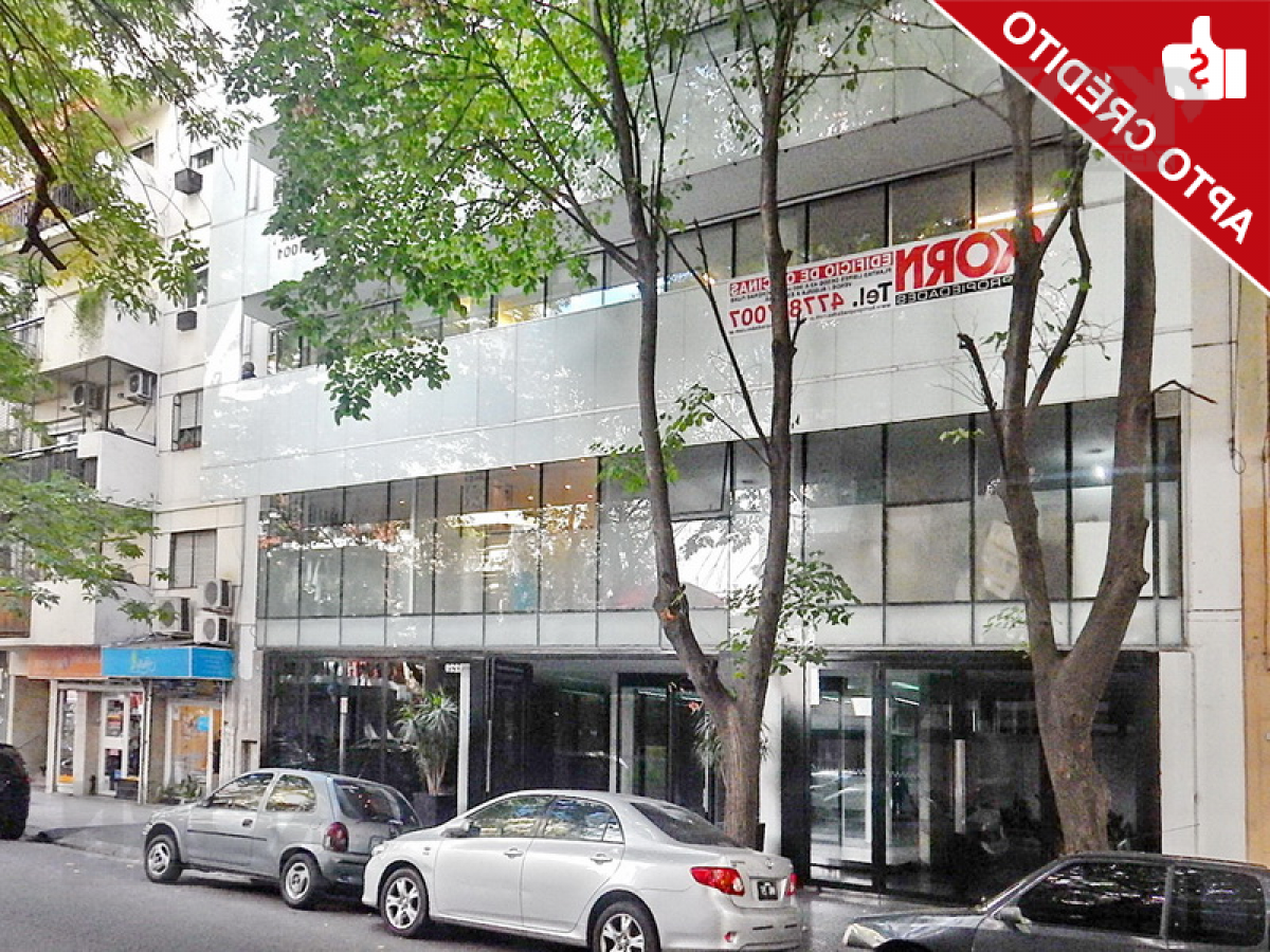 Büro in Buenos Aires, Argentina 182m², Nr. 108842