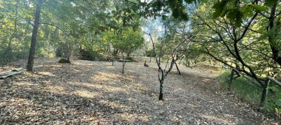 1 chambre Maison à Arpino, Italy No. 90242 30