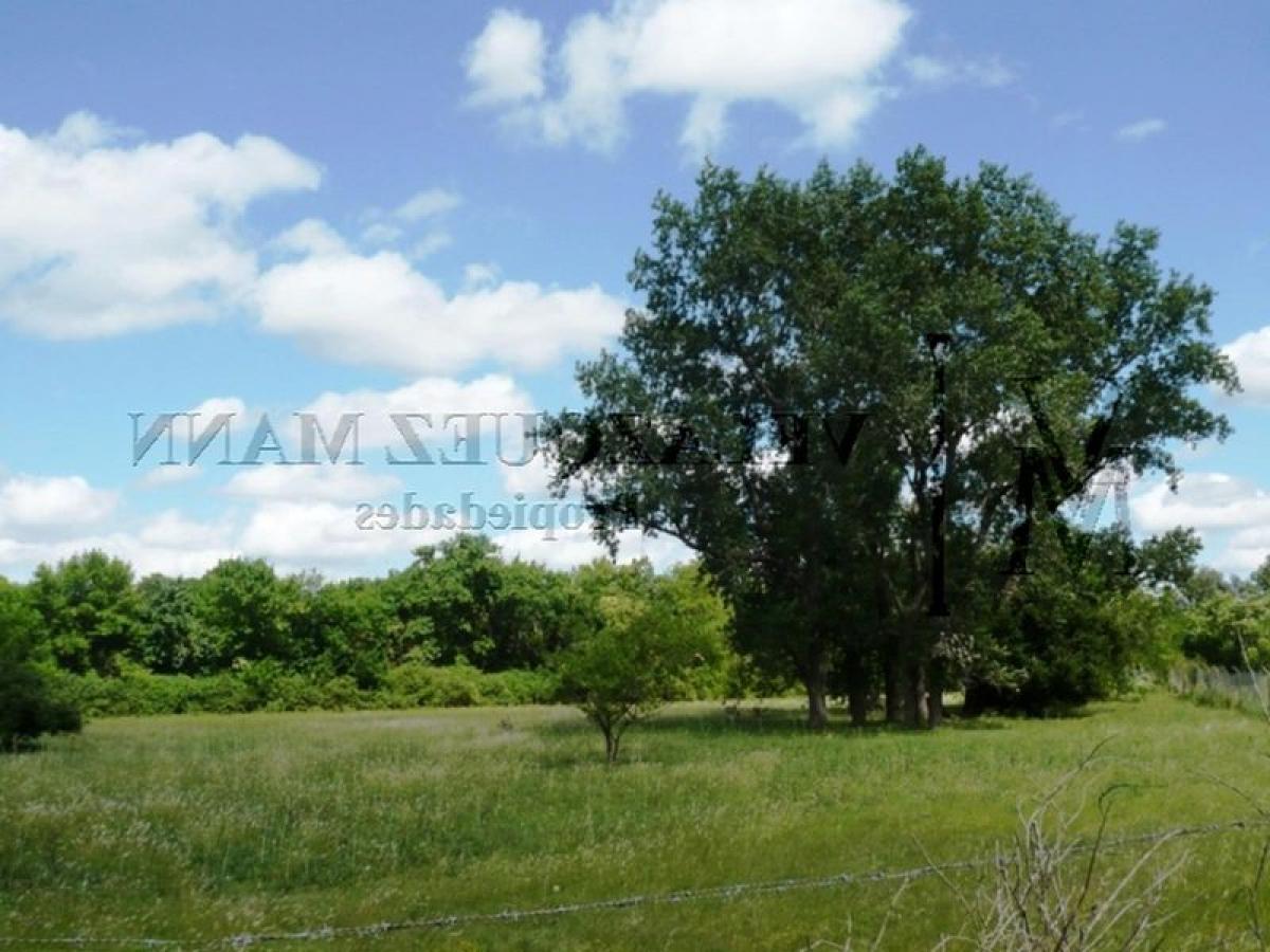  Land in Esteban Echeverria, Argentina No. 37573