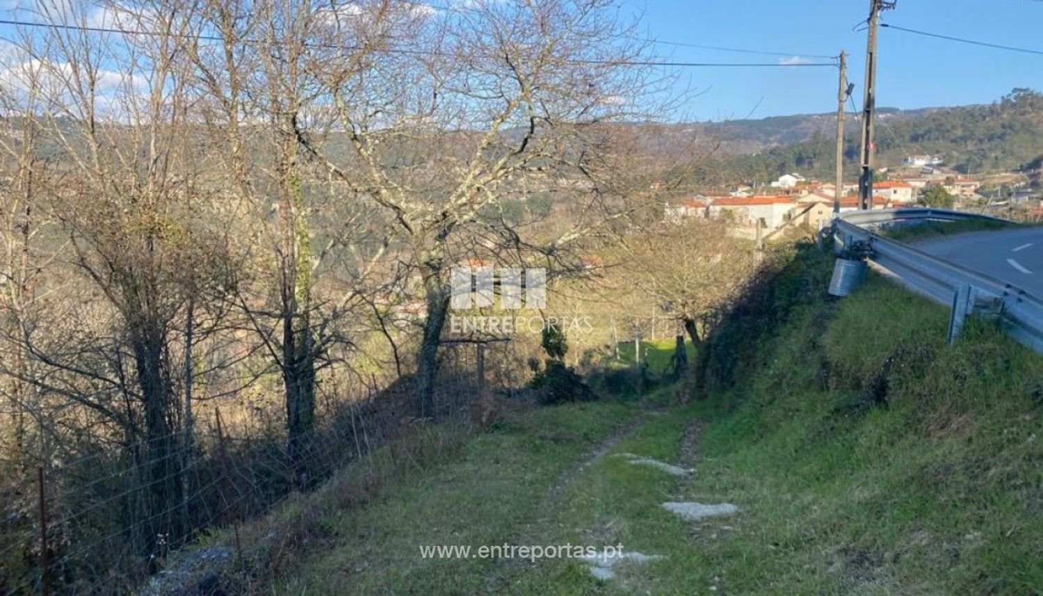11159m² Land in Soalhaes, Portugal No. 56137