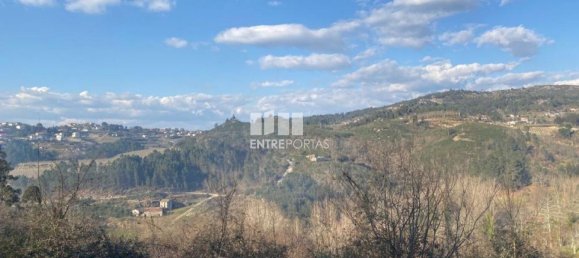 11159m² Land in Soalhaes, Portugal No. 56137 9