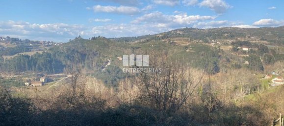 11159m² Land in Soalhaes, Portugal No. 56137 11