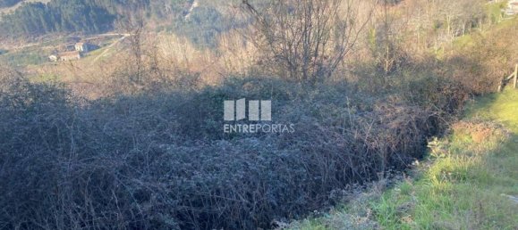11159m² Land in Soalhaes, Portugal No. 56137 4