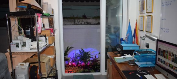 3 bedrooms House in Phuket, Thailand No. 65022 7