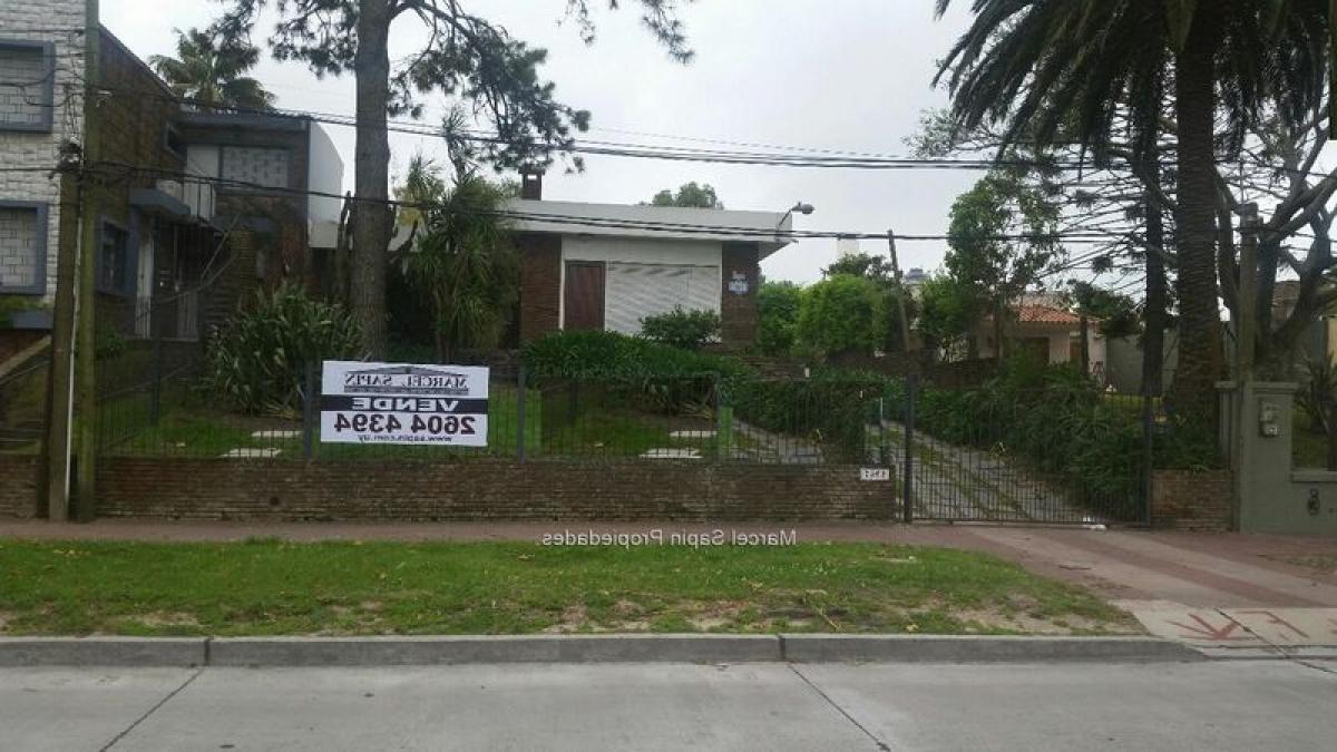 4 bedrooms House in Montevideo, Uruguay No. 6657