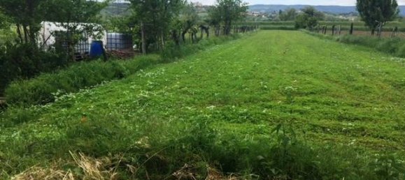 4 rooms Apartment in Fabro, Italy No. 72893 5