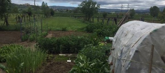 4 rooms Apartment in Fabro, Italy No. 72893 6